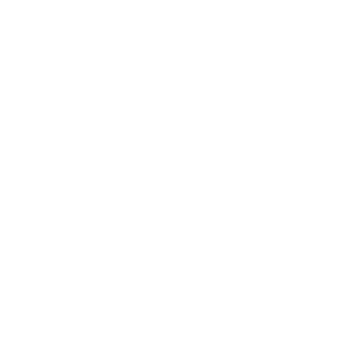 Success Guarantee