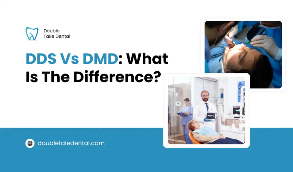 DDS Vs DMD What Is The Difference?